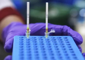 WHO Monitors COVID-19 Variant BA.2.86 Amid Mutations