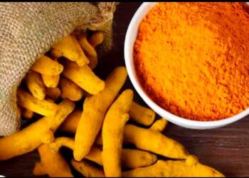 Odisha's Kandhamal ‘Haladi’ Bags National IP Award Under Agriculture Category