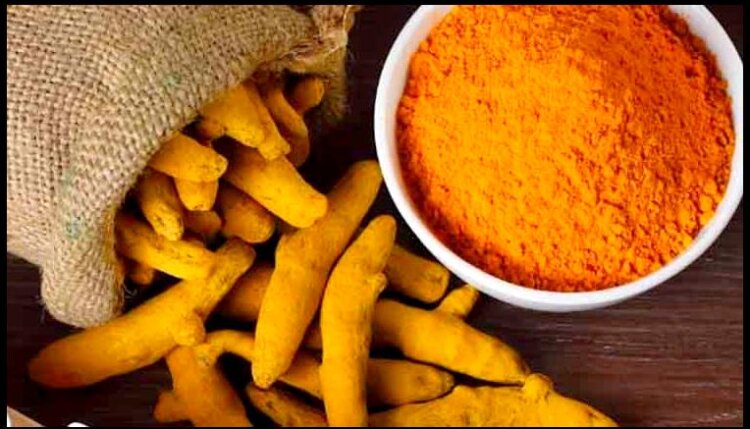 Odisha's Kandhamal ‘Haladi’ Bags National IP Award Under Agriculture Category