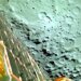 Chandrayaan-3 Moon Landing Updates: 1 day to touchdown, ISRO says ‘mission on schedule’