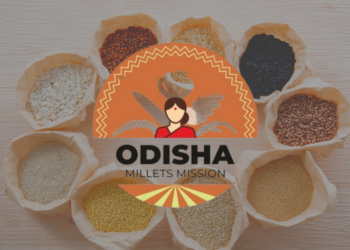 State Cabinet Approves Rs 2687.45 Cr Budget For Odisha Millet Mission For Four Years
