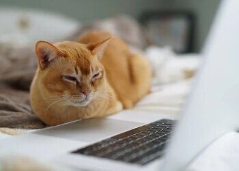 ChatGPT simplifies complex social sector concepts