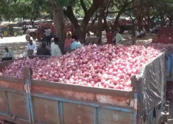 As Onion Follows Tomato Into Price Hike, Centre Switches On Control Mode