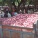 As Onion Follows Tomato Into Price Hike, Centre Switches On Control Mode