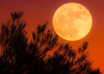 Japan Postpones Moon Mission Launch For 3rd Time Due To Bad Weather