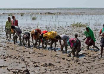 Climate Change Over Five Decades: A Journey of Learning
