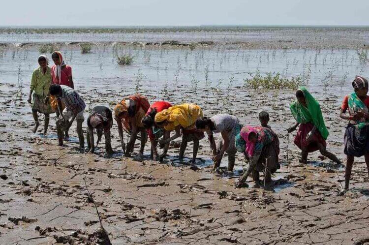 Climate Change Over Five Decades: A Journey of Learning