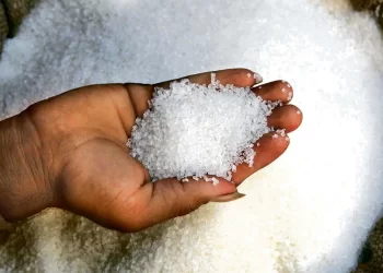 India's First in 7 Years Ban Sugar Exports: Report