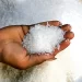 India's First in 7 Years Ban Sugar Exports: Report