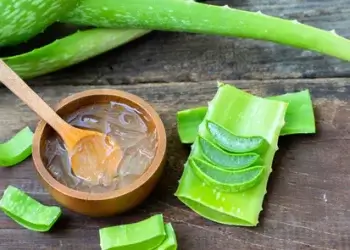 Aloe Vera Benefits: Shahnaz Husain Shares Incredible Uses Of Aloe Vera For Hair And Skin