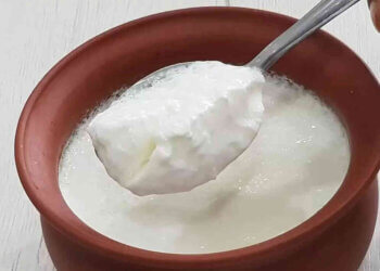 Health Benefits of Curd: Know the reasons why you should have curd every day