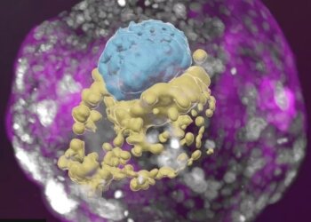 Scientists create Human Embryo in lab without eggs, sperm