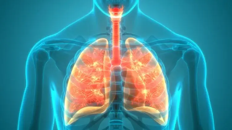 Lung cancer symptoms: 5 signs of the fatal condition, other than persistent cough