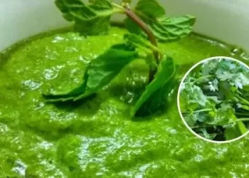 Health Benefits Of Dhania And Pudina Chutney: Diabetes Control To Digestion