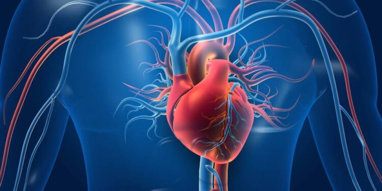 Healthy heart: 7 symptoms that can tell the condition of your heart, here's how to identify them