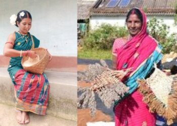 Two Women Farmers From Odisha To Share Insights On Millets Cultivation At G20 Summit