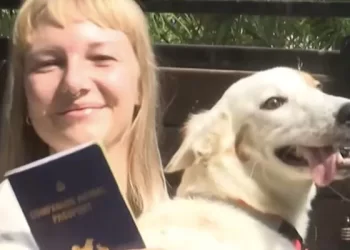 Varanasi Street Dog Finds Home in Holland