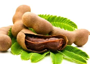 Tamarind: Heart Health To Immunity, Know 5 Health Benefits Of Imli (Tarmarind)