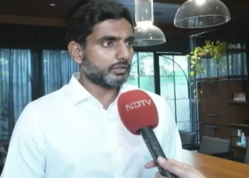 Naidu's Son Meets Amit Shah on Father's Jail Safety