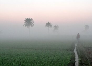 Odisha Weather: Dense Fog Engulfs Several Places, Yellow Alert For Next 2 Days