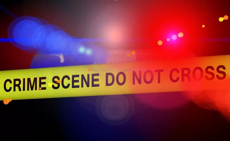 5-Year-Old Boy In US Stabs Twin Brother To Death With Kitchen Knife: Cops