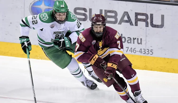 Arrest in US Ice Hockey Player's Freak Death