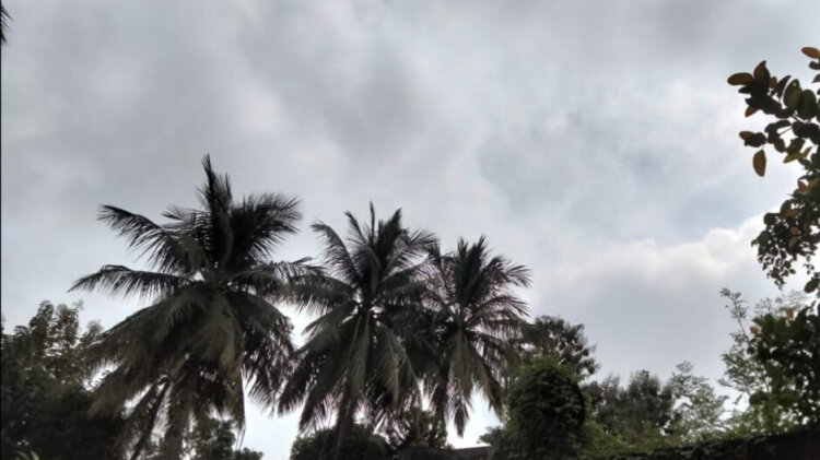 IMD Predicts Low Pressure Over Andaman Sea By Oct 22; Rain In Odisha From Oct 23