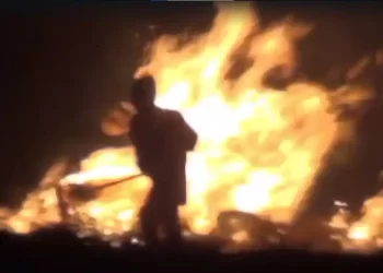 Delhi Air Toxic, But Data Shows Lesser Farm - Here's Why