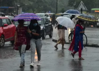 Odisha weather: IMD Forecasts Light Rain In Several Districts On Feb 19, 20
