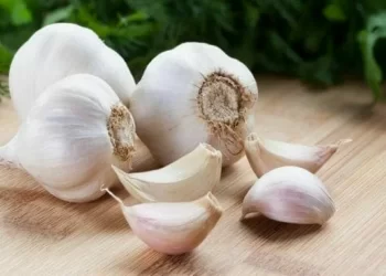 Know the role of raw garlic in cholesterol management
