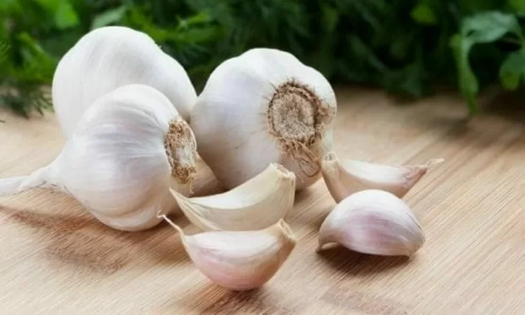 Know the role of raw garlic in cholesterol management