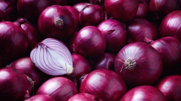 Raw Onion Benefits: Brain Health To Digestion, 5 Reasons Kachi Pyaz Should Be A Regular