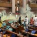 Watch: 2 intruders jump from Lok Sabha Gallery, open smoke canisters