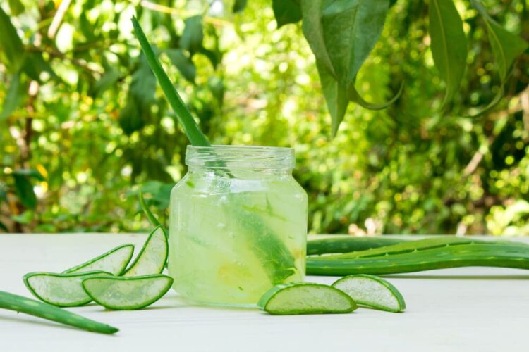 Kickstart Your Morning With Aloe Vera Juice? 5 Benefits To Know