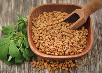 Methi (Fenugreek): Uses, Benefits, Side Effects, and More!