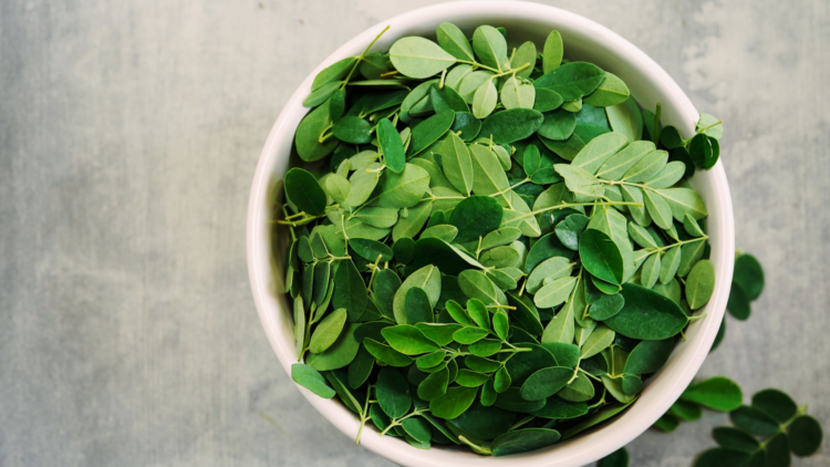 Moringa leaves for health: Diseases they help with and the right way to consume them