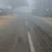 IMD Issues Yellow Alert For Dense Fog In Several Odisha Districts