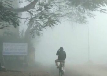 IMD Warns Of Dense Fog In Four Odisha Districts For Next Two Days