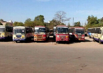 Odisha Govt Issues SOP For Vehicles Going To Picnic Spots