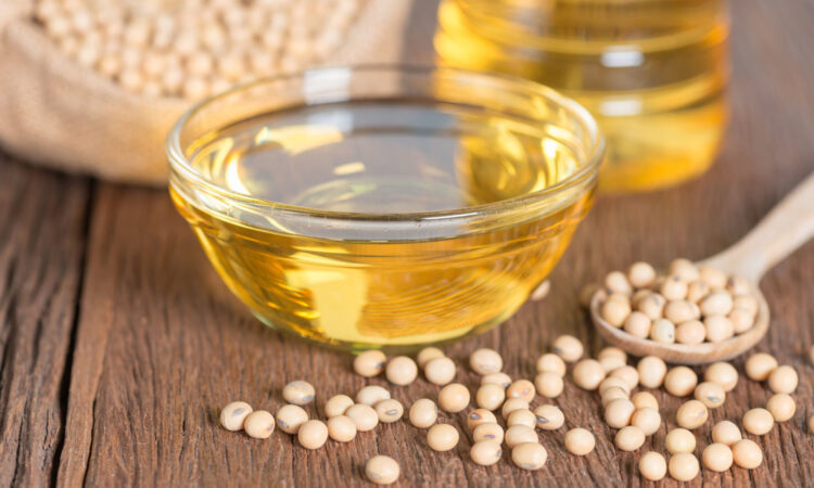 Consuming soybean oil can lead to gut health issues; read on to know more