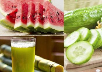 Heatwave: 6 Cooling Foods To Add In Your Diet For Soothing Summers