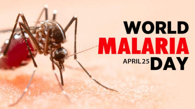 World Malaria Day 2024: Date, history, significance and all that you need to know