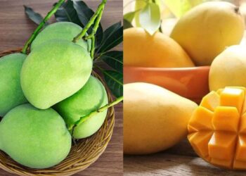 Raw mango vs ripe mango, which is better for your health?