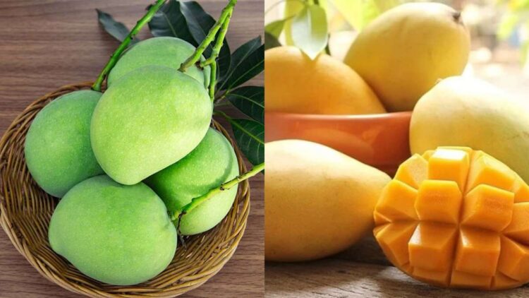 Raw mango vs ripe mango, which is better for your health?