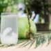 Fresh vs pre-shaved coconut water: Which is better (and why)?