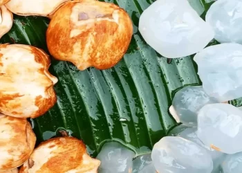 Ice Apples: Prevent Heat Stroke To Promote Weight Loss, Know Benefits Of Adding Ice Apples To Your Summer Diet