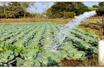 Odisha Govt Relaxes Arrear Electricity Bill Payment For Lift Irrigation Consumers