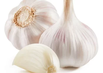 Garlic can keep your blood sugar and cholesterol in check—Know how