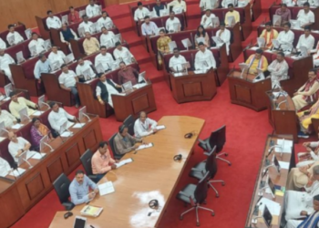 All Households In Odisha To Get Electricity Connection By Sept End: Deputy CM