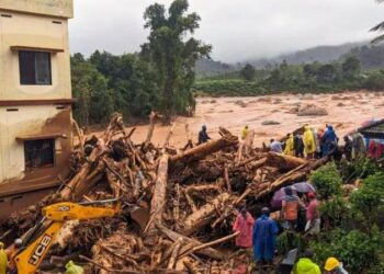 Wayanad Landslide: Death Toll Reaches 297, With 206 Still Missing